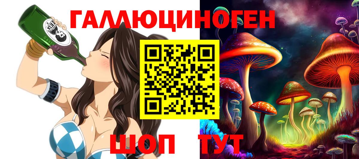 Псилоцибиновые грибы GOLDEN TEACHER Тара