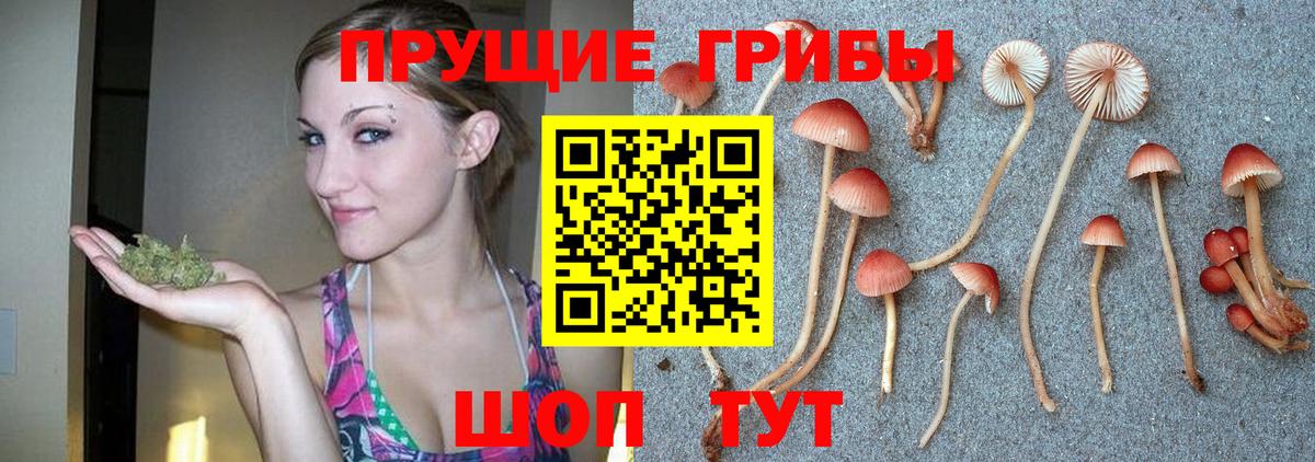 как найти закладки  Псилоцибиновые грибы ЛСД  Вход с VPN  Тара 
