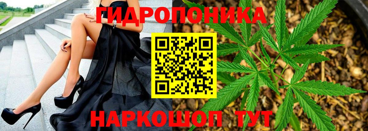 Каннабис Amnesia  Бошки Шишки ГИДРОПОН  Вход с VPN  Бошки Шишки Ganja  Тара  Конопля планчик 